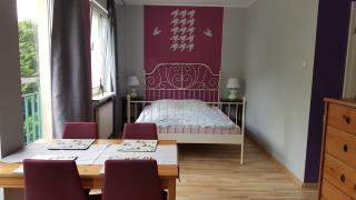 StudioSpanie Apartament Mango - 5