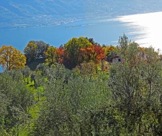 Appartamenti Villa Vagne by Gardadomusmea - Tremosine Sul Garda - 9