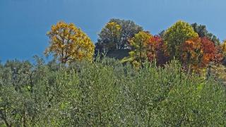 Appartamenti Villa Vagne by Gardadomusmea - Tremosine Sul Garda - 8