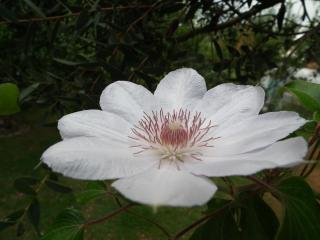 Dove House - 4