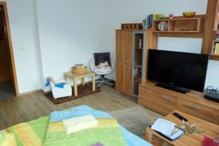Ferienwohnung KaRo - Ellefeld - 8