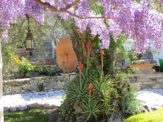Colores en el Viento - 0