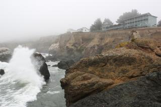 Inn of the Lost Coast - Shelter Cove - 4