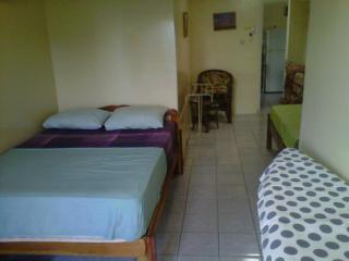 Huize Henriette - Paramaribo - 1