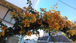 Kardamena Holiday Apartments - 6