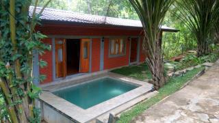 Tea Leaf Retreat - 4