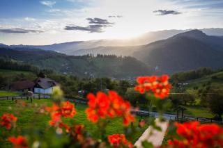 Bran Monte Crai Chalet - Bran - 7