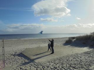 Ostseestern - Damp - 9