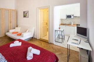 Dušní Apartments - Praga - 8