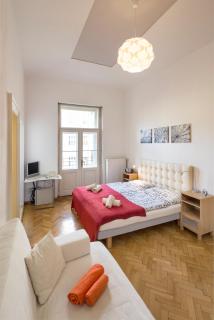 Dušní Apartments - Praga - 7