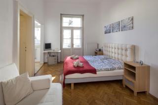 Dušní Apartments - Praga - 4