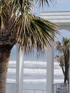 Paradise In New Smyrna Beach Florida - 7