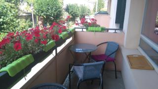 Turgot - Thonon-les-Bains - 0