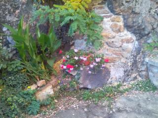 Penzion Marjánka - 5