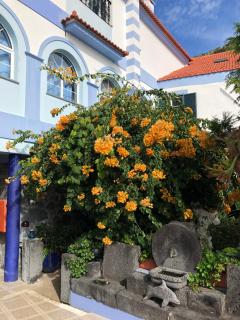 Casa Do Antonio - Velas - 8