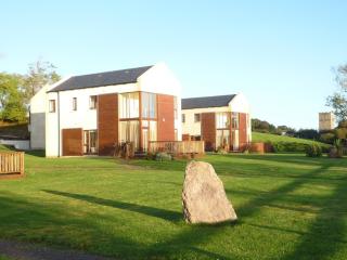 Castle Quay Holiday Homes by Trident Holiday Homes - Kinsale - 0