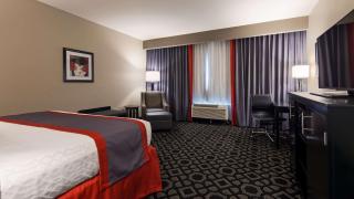 Best Western Plus Laredo Inn & Suites - Laredo - 2
