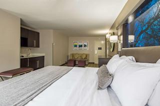 Best Western Plus Clemson Hotel & Conference Center - Clemson - 7