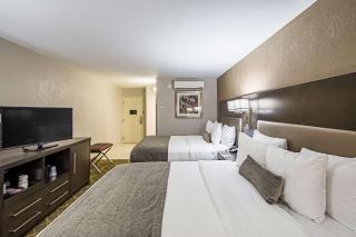 Best Western Plus Clemson Hotel & Conference Center - Clemson - 6