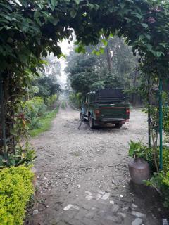 Shuklaphanta Jungle Cottage - Bahāsi - 1