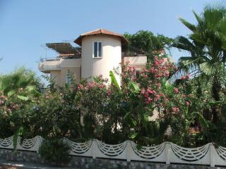 Tango Pension - Koycegiz - 3