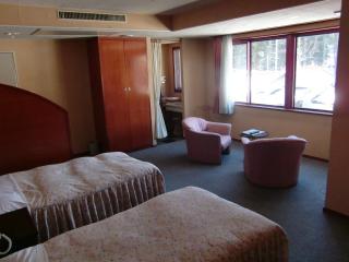 Hakuba Hotel Ougiya - Hakuba - 6