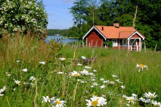 Snokebo Gård - Vimmerby - 3
