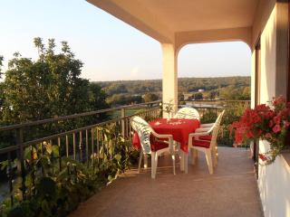 Apartments Coki - Funtana - 4
