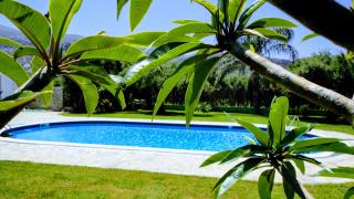 Ibiscus Hotel Malia - 7