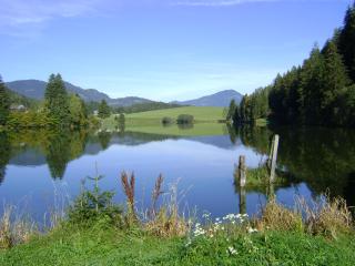 Gasthof Fischerwirt - Zeutschach - 1