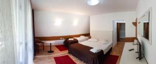 Hotel Paraul Capra - Cumpăna - 3