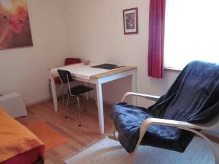 Ruhiges Gästezimmer - Winterthur - 7
