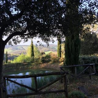 Podere Cerreto - Casole dʼElsa - 2