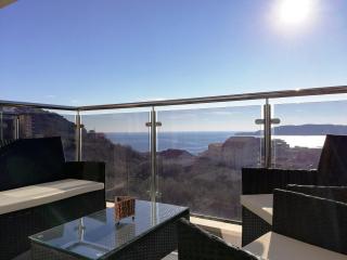 Apartment Olive Montenegro KO Becici - Budva - 1