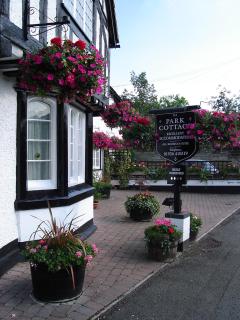 Park Cottage - 5