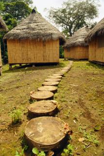 Amazon Dolphin Lodge - Tereré - 7
