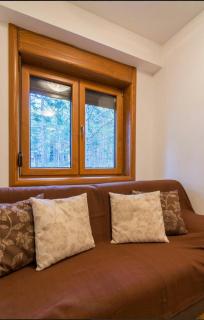 Apartment Kiki - Zlatibor - 9