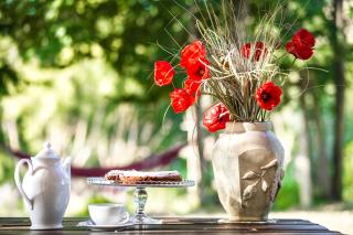 Molino Monacelli Country House - 2