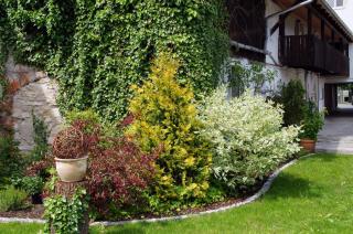 Altstadtpension Dietz - 1