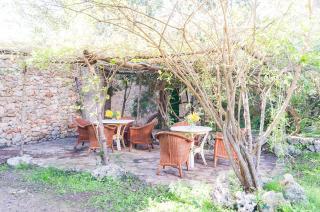 Sa Casa Rotja - Sineu - 5