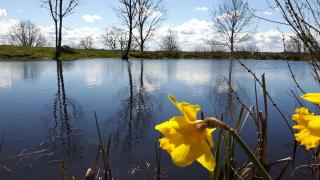 Kullens Bed and Breakfast - Mellby - 9