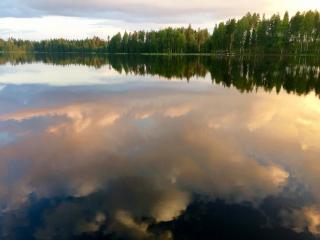 Valteri - Enonkoski - 8
