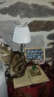 Chez Marraine - Sauvat - 4