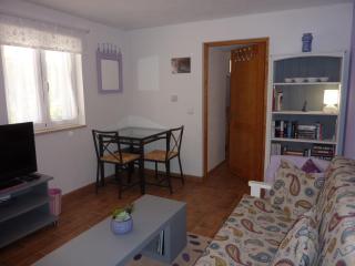 Casa Azul self-catering apartment with gorgeous biological swimming pool - Avelar - 5