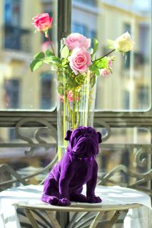 Purple Dog Suites - León - 7