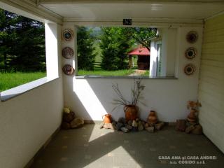 Casa Andrei Vatra Dornei - Dealu Floreni - 6