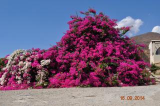 Island Villa - Agia Galini - 8