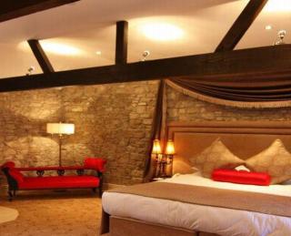 Cabra Castle Hotel - Kingscourt - 4