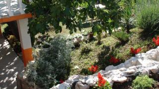 Apartment Bibinje 14773c - Bibinje - 1