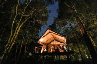 Paperbark Camp - Woollamia - 1